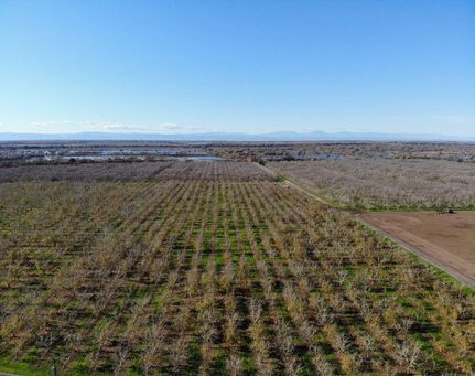 Farm and Ranch for sale in Sutter County, California