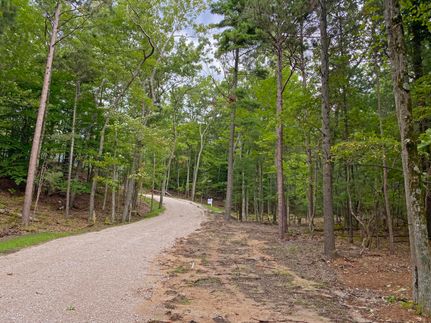 Undeveloped Land in Manistee County, Michigan