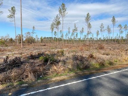 Undeveloped Land in Horry County, South Carolina
