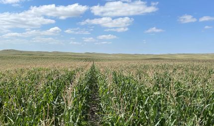 Undeveloped Land in Lincoln County, Nebraska