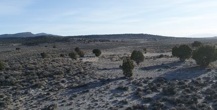 Undeveloped Land in Elko County, Nevada