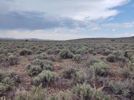 Undeveloped Land in Costilla County, Colorado