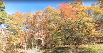 Undeveloped Land in Shenandoah County, Virginia