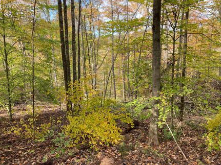 Land in Morgan County, Ohio