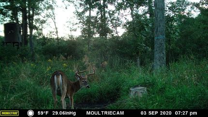 Recreational Property in Marquette County, Wisconsin