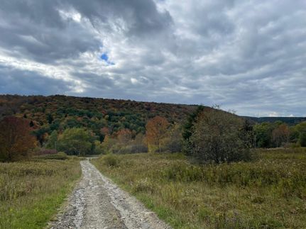 Commercial Property in Chenango County, New York
