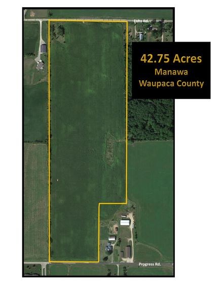 Undeveloped Land in Waupaca County, Wisconsin