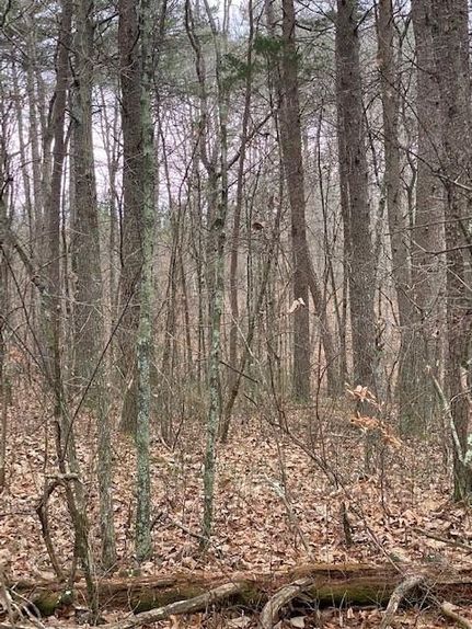 Undeveloped Land in Marion County, Tennessee