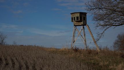 Land in Decatur County, Iowa