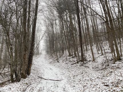 Recreational Property in McKean County, Pennsylvania
