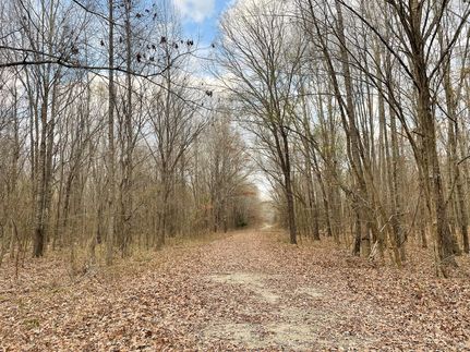 Undeveloped Land in Titus County, Texas