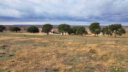 Farm and Ranch in Mason County, Texas