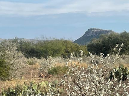 Recreational Property in Uvalde County, Texas