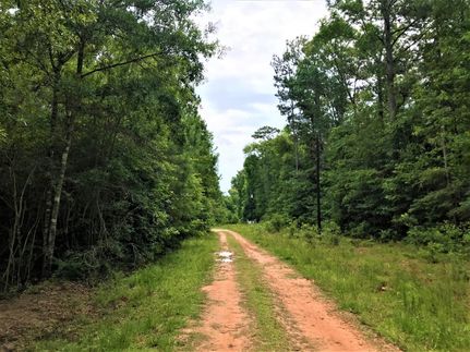 Farm and Ranch in Polk County, Texas