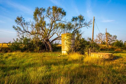 Timberland Property in Wilson County, Texas