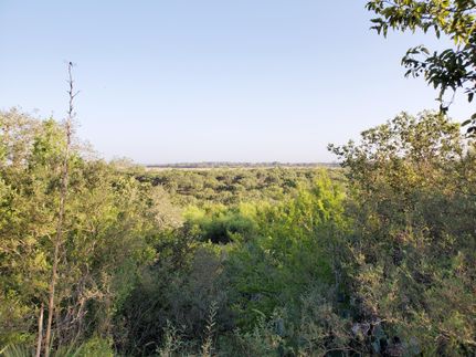 Farm and Ranch in Wilson County, Texas