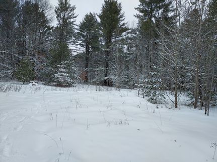 Land in Benzie County, Michigan