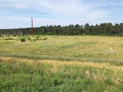 Undeveloped Land in Goodhue County, Minnesota