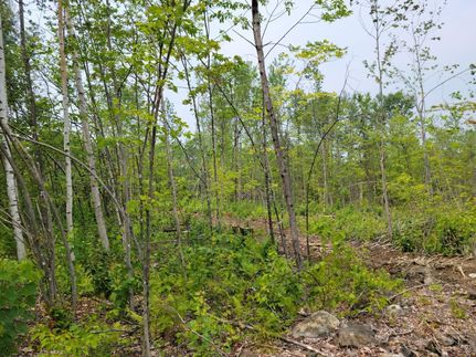 Farm and Ranch in Franklin County, Maine