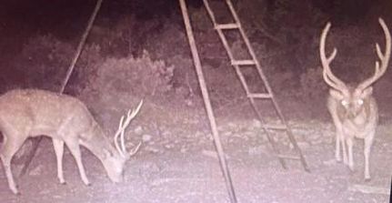 Hunting Property in Edwards County, Texas