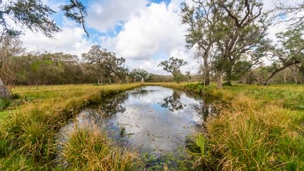 Recreational Property in Brazoria County, Texas