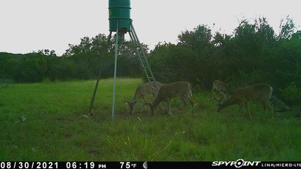 Commercial Property in Edwards County, Texas