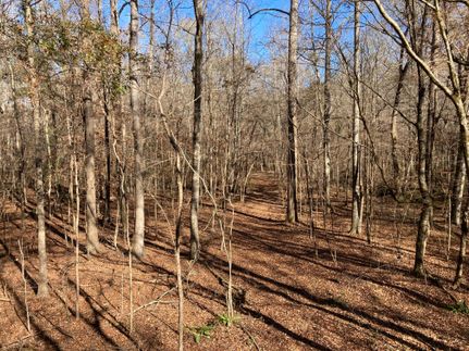 Timberland Property in Hale County, Alabama