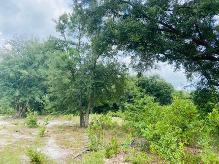 Recreational Property in Wayne County, Georgia