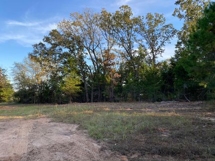 Timberland Property in Upshur County, Texas