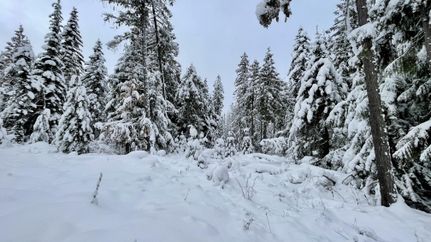 Recreational Property in Clearwater County, Idaho