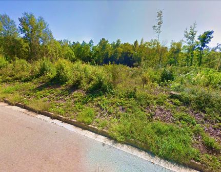 Undeveloped Land in Shelby County, Texas