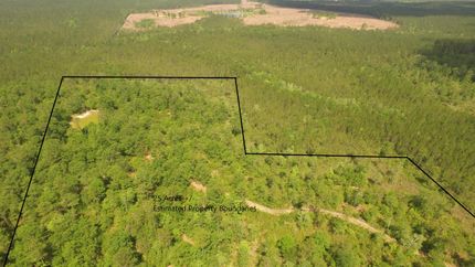 Timberland Property in Washington County, Alabama