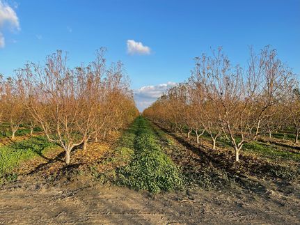 Farm and Ranch in Fresno County, California
