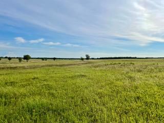Farm and Ranch in Parker County, Texas
