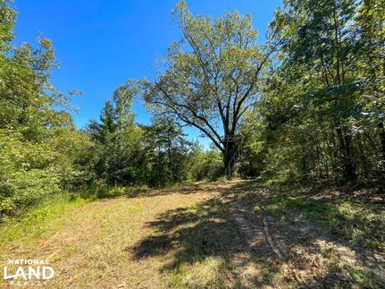Land in Dallas County, Alabama