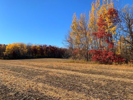 Farm and Ranch in Douglas County, Minnesota