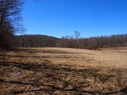 Timberland Property in Otsego County, New York
