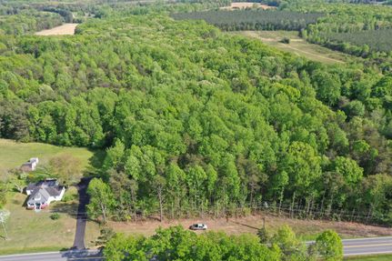 Undeveloped Land in Louisa County, Virginia