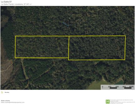 Timberland Property in LaSalle Parish, Louisiana