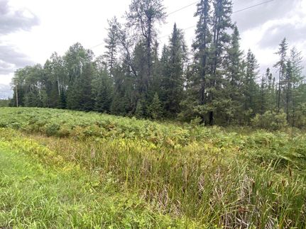 Land in Saint Louis County, Minnesota