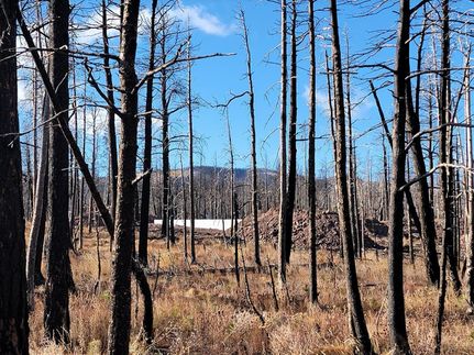 Hunting Property in Costilla County, Colorado