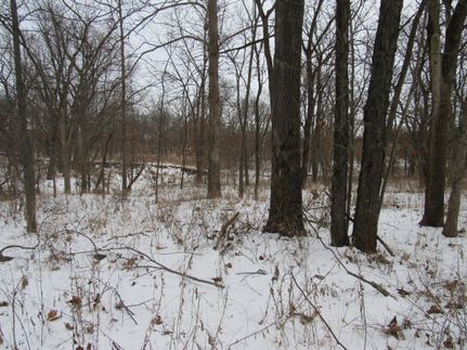Farm and Ranch in Davis County, Iowa