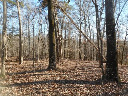 Farm and Ranch in Yazoo County, Mississippi