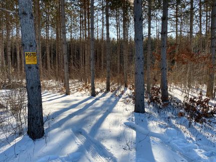 Land in Juneau County, Wisconsin