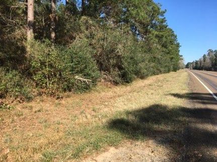 Recreational Property in Polk County, Texas