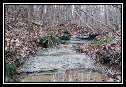 Undeveloped Land in Jackson County, Ohio