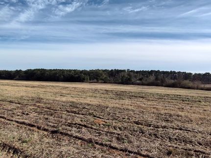 Recreational Property in Houston County, Alabama