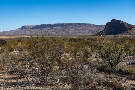Undeveloped Land in Brewster County, Texas