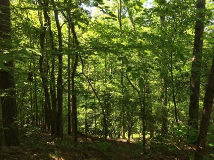Recreational Property in Bartow County, Georgia