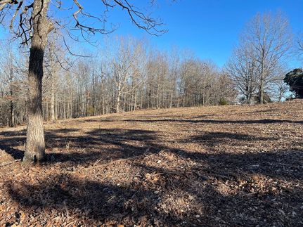 Hunting Property in Oregon County, Missouri